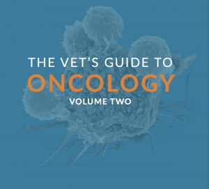 SASH vets guide to oncology