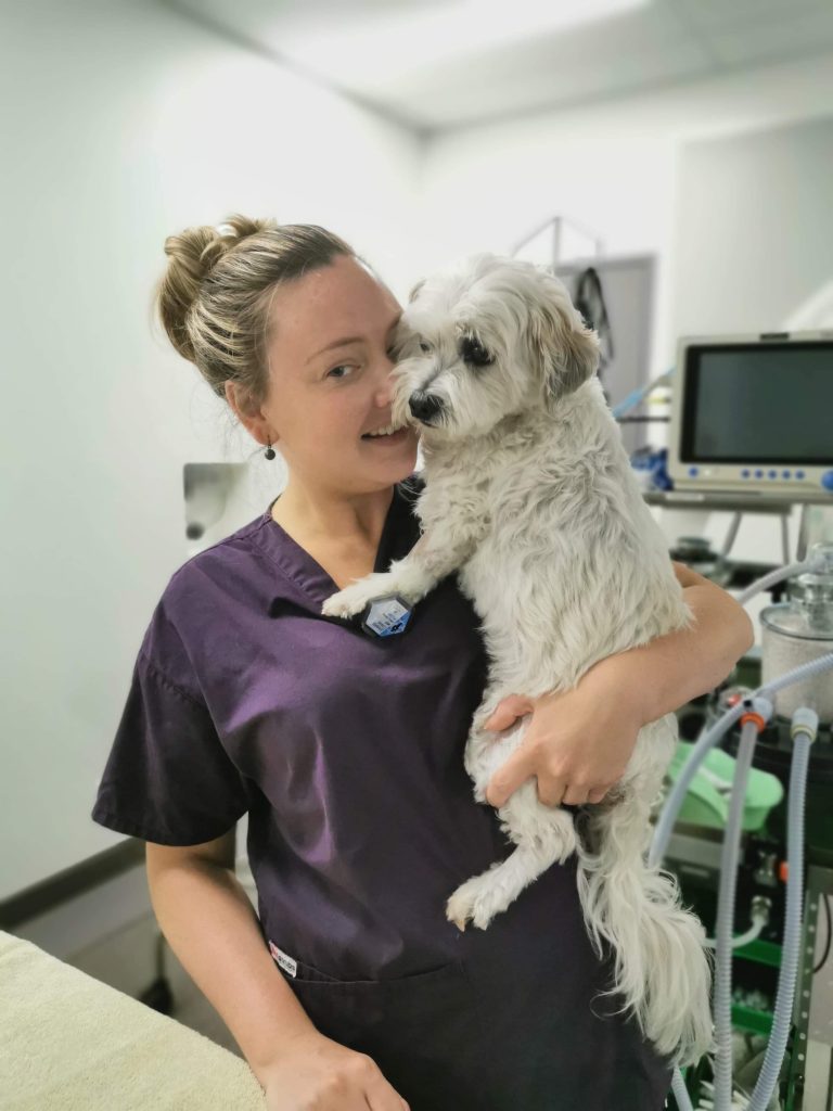 SASH doctor holding a dog