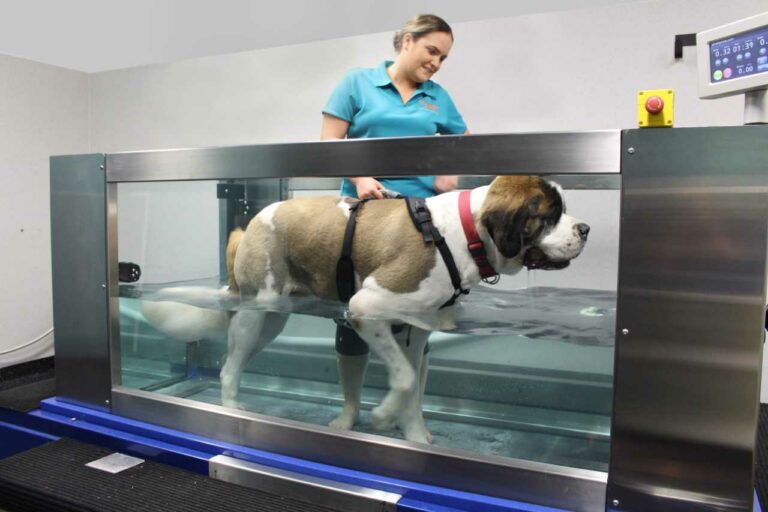 Hydrotherapy Tank