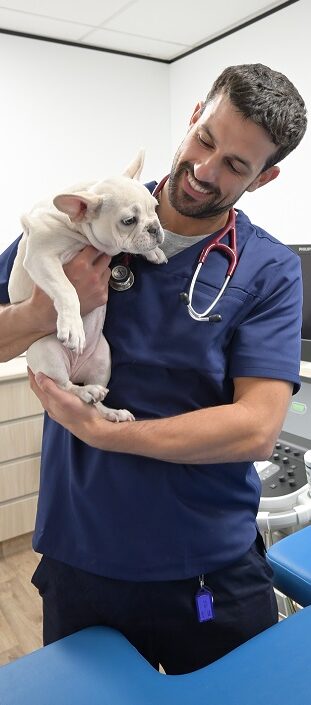 Cardiologist with puppy at Heart Murmur Screening Clinic