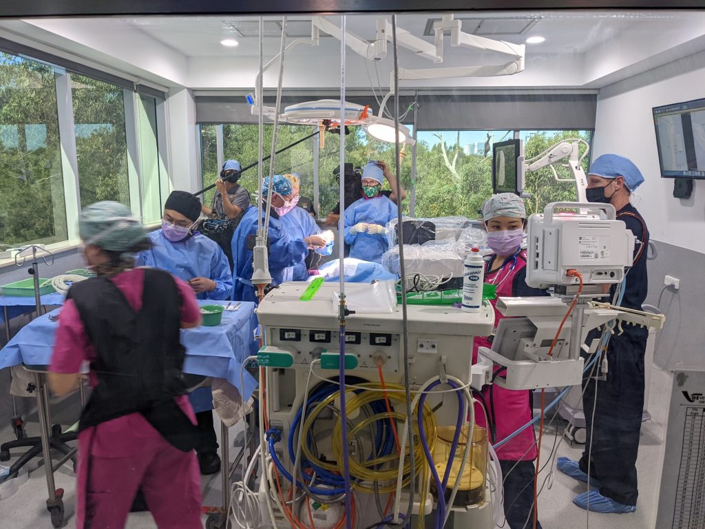 SASH Avian and Surgery teams performing surgery on eagle