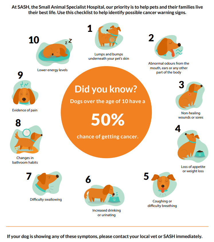 Infographic showing signs of cancer in dogs