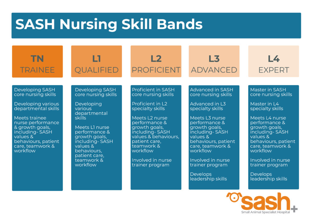 SASH nurse skills