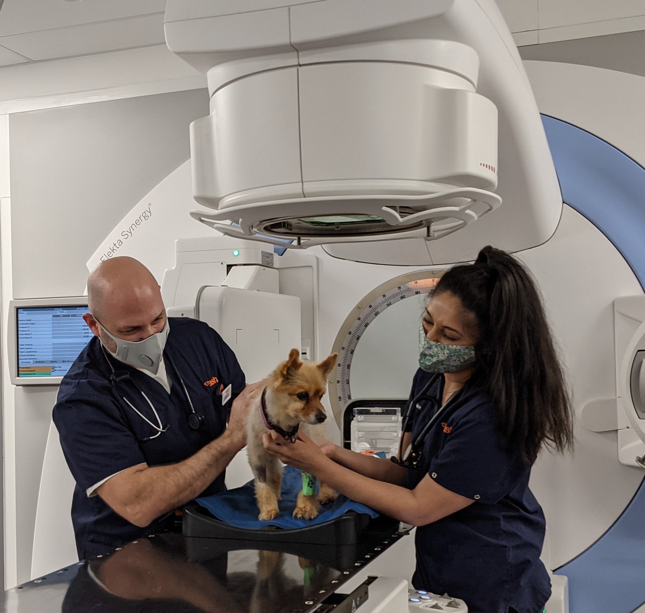 specialist vet with linac