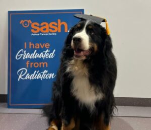 dog posing with Cancer Centre sign