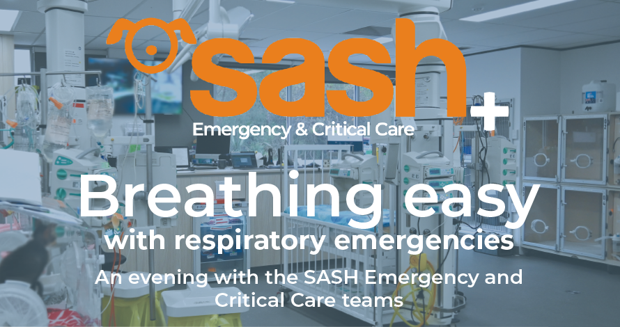 Sash vets emergency and critical care banner