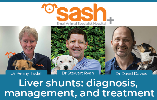 Dr Penny Tisdall Dr David Davies and Dr Stewrat Ryan discuss Liver Shunts