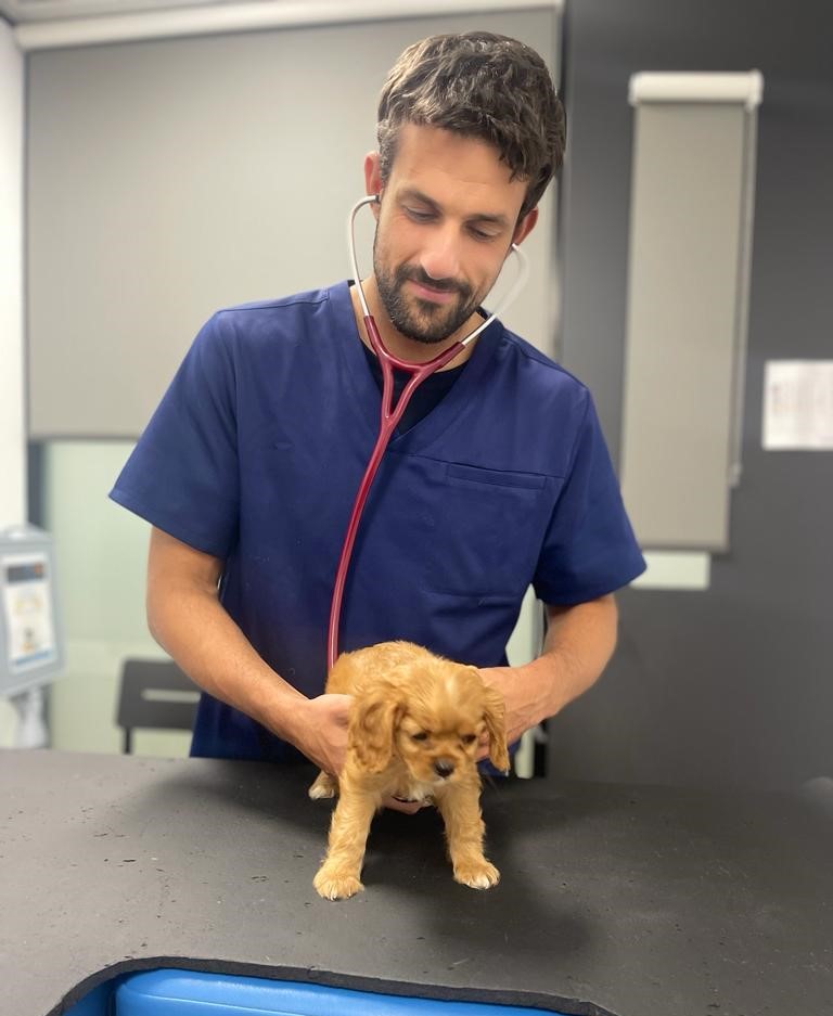 Dr Inaki with puppy