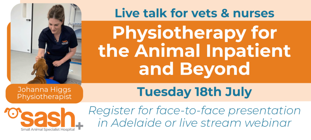 Physiotherapy talk for vets and nurses by Johanna Higgs