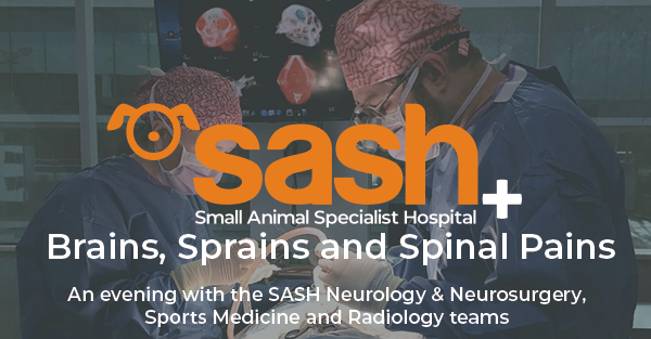 SASH talk with veterinary specialists in neurology, radiology and rehab
